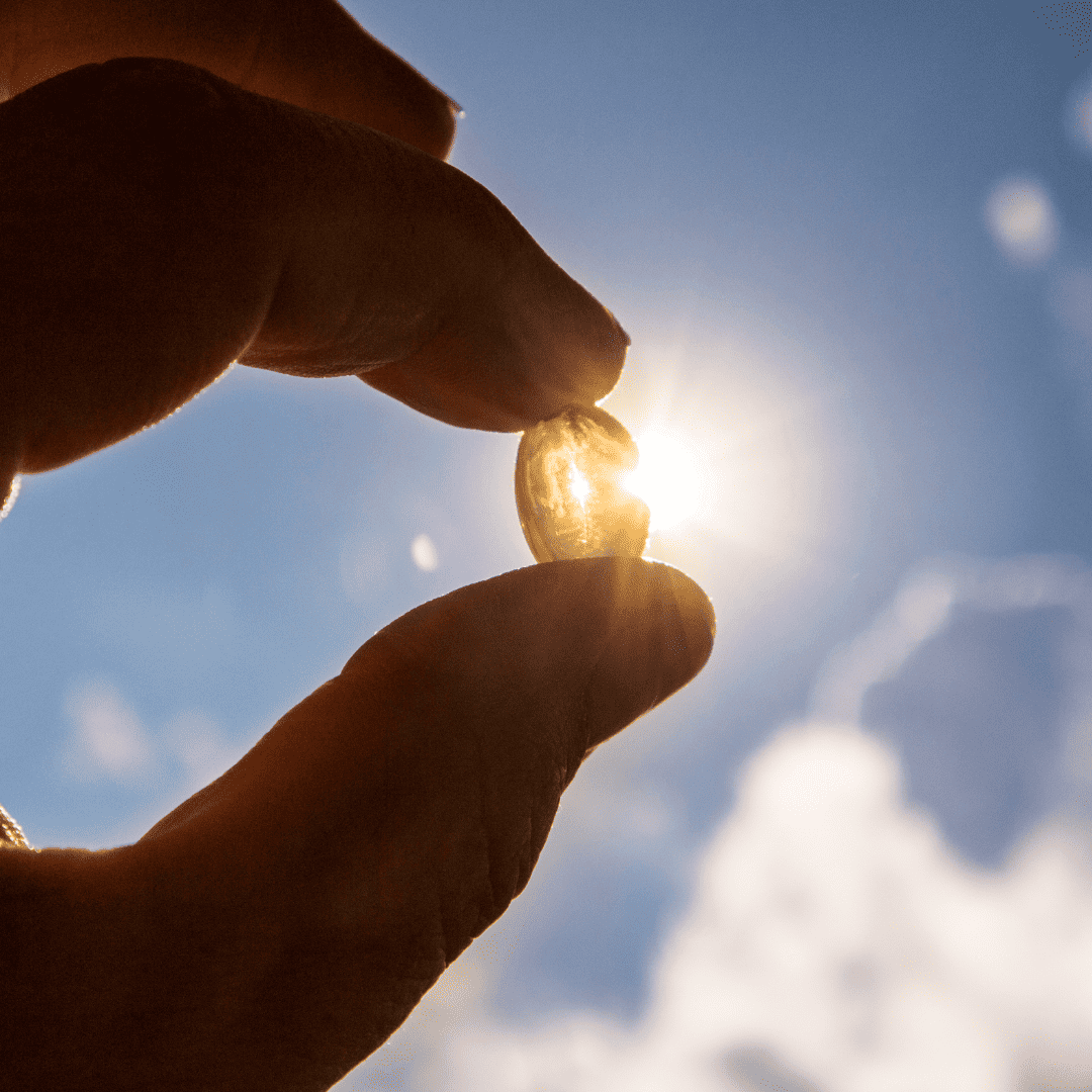 Photo of a hand holding a vitamin D tablet into the sky with the sun in the background.